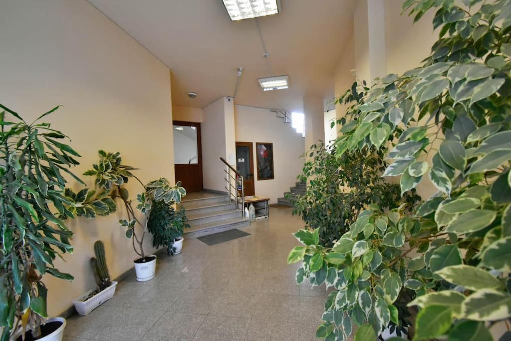 Apartament 35 Cozy 1 Bedroom With Balcony
